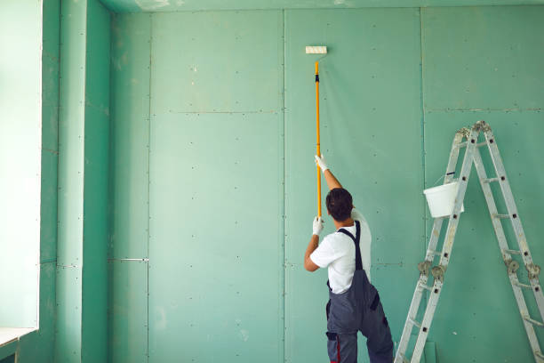 Best Mold Damage Restoration  in Batesville, MS