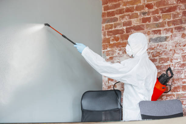 Best Residential Mold Inspection & Testing  in Batesville, MS