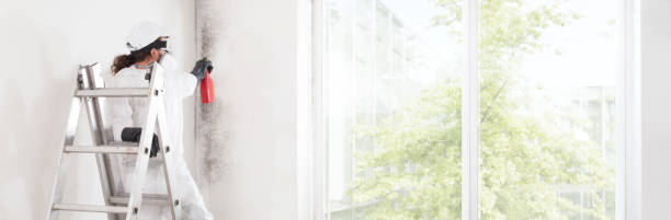 Best Comprehensive Air Testing for Mold Contaminants  in Batesville, MS